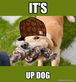 Scumbag dog