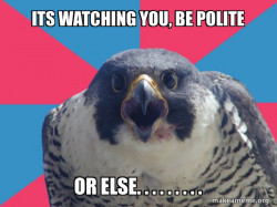Millennial Falcon