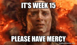 Frodo it's over it's done