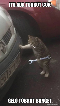 Mechanic Cat