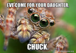 Hipster Spider