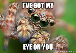 Hipster Spider