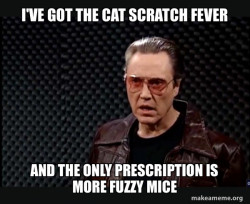 I've got the cat scratch fever and the only prescription is