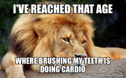 Confession Lion