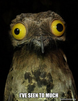 Weird Stuff I do Potoo