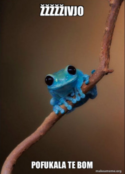 Small Fact Frog