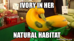Gourd Advice Mallard