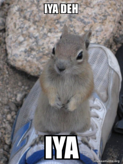 Standover Squirrel