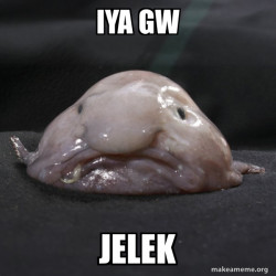 Blobfish