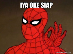 Spiderman - Care factor Zero