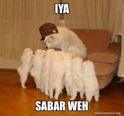 Scumbag Storytelling Dog