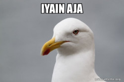 Stuff That Didn't Happen Seagull