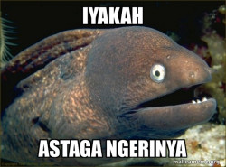 Bad Joke Eel