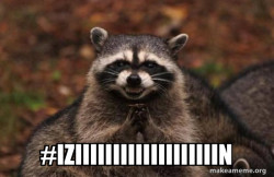 Evil Plotting Raccoon