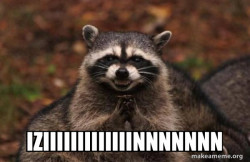 Evil Plotting Raccoon