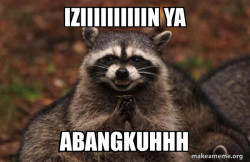 Evil Plotting Raccoon