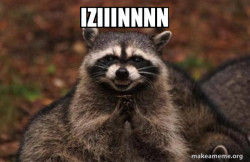 Evil Plotting Raccoon