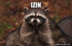 Evil Plotting Raccoon