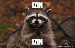 Evil Plotting Raccoon