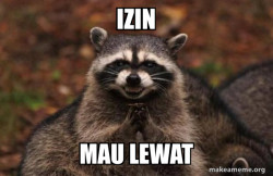 Evil Plotting Raccoon