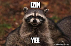 Evil Plotting Raccoon
