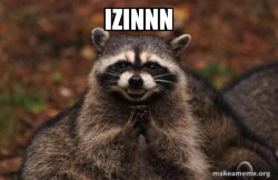 Evil Plotting Raccoon