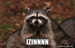 Evil Plotting Raccoon