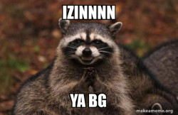 Evil Plotting Raccoon