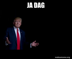 Trump Everything is FIne