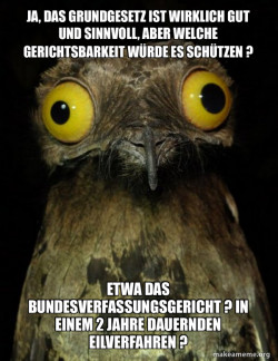 Weird Stuff I do Potoo