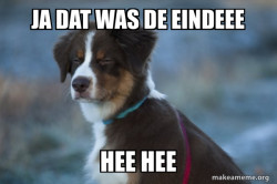 Unsure Dog