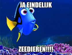Dory from Nemo  (5 second memory)