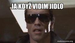 The Terminator