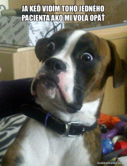 Skeptical Dog