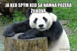 Confession Panda