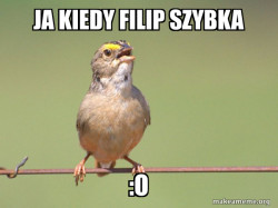 Common Opinion Sparrow