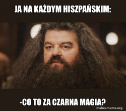 Hagrid - I should not have said that