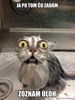 Cat bath