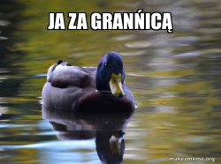 Zen Advice Mallard