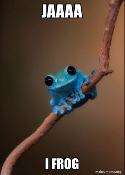 Small Fact Frog
