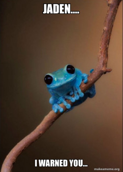 Small Fact Frog