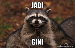 Evil Plotting Raccoon