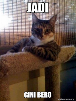 The Most Interesting Cat in the World
