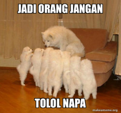 Storytelling Dog
