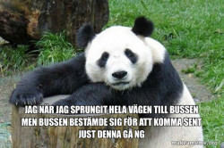 Confession Panda