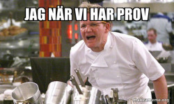 Gordon Ramsay Hell's Kitchen