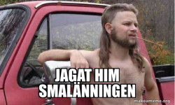 Almost Politically Correct Redneck