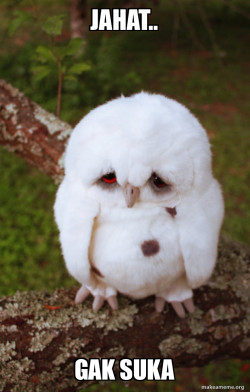 Sad Owl