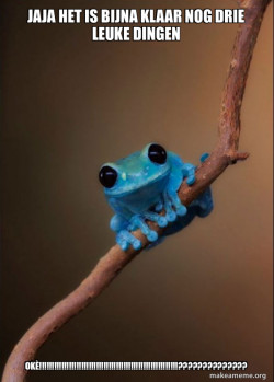 Small Fact Frog