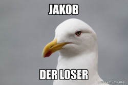 Stuff That Didn't Happen Seagull